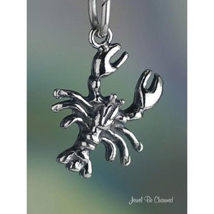 May include: Silver lobster charm with a detailed design. The charm is hanging from a silver loop.