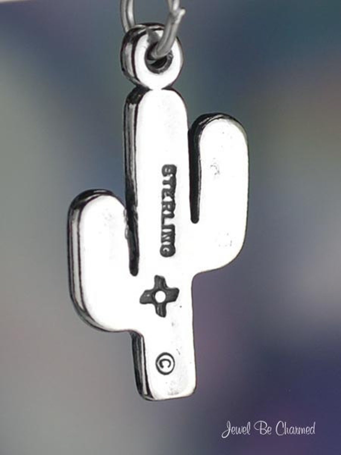 Cactus Charm