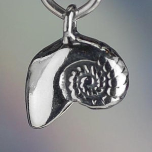 Pode incluir: Berloque de prata em forma de concha de nautilus. O berloque tem um design detalhado e texturizado e um la&ccedil;o para prender a uma pulseira ou colar.