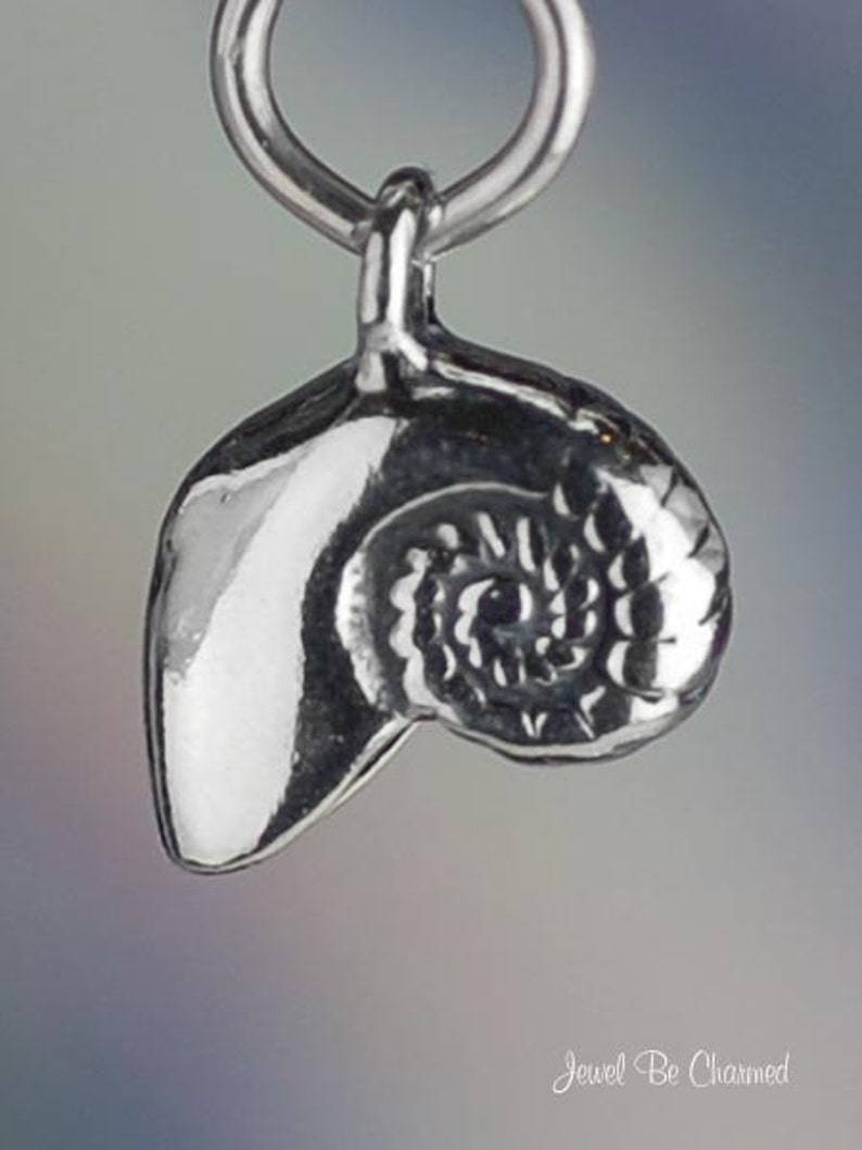 Pode incluir: Berloque de prata em forma de concha de nautilus. O berloque tem um design detalhado e texturizado e um la&ccedil;o para prender a uma pulseira ou colar.