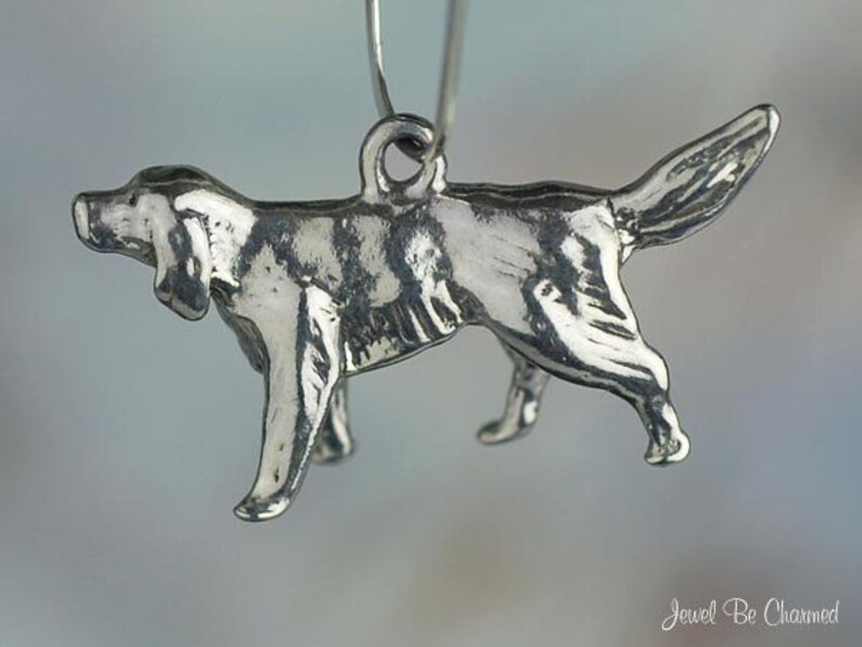 May include: A silver charm in the shape of a dog, with a detailed design and a smooth finish. The charm is hanging from a silver loop.
