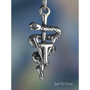 May include: A silver-colored pendant featuring the Rod of Asclepius, a symbol of medicine. A serpent coils around a staff, with a loop at the top for a chain. The pendant is detailed and has a polished finish, ideal for medical professionals or students.