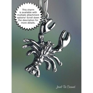 May include: A silver lobster charm with detailed claws and body. The charm is available with multiple attachment options.  "This charm is available with multiple attachment options! Scroll down the description for more details."  "Jewel Be Charmed"