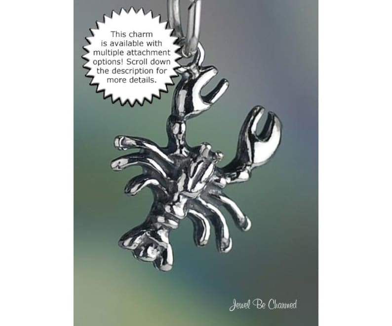 May include: A silver lobster charm with detailed claws and body. The charm is available with multiple attachment options.  "This charm is available with multiple attachment options! Scroll down the description for more details."  "Jewel Be Charmed"