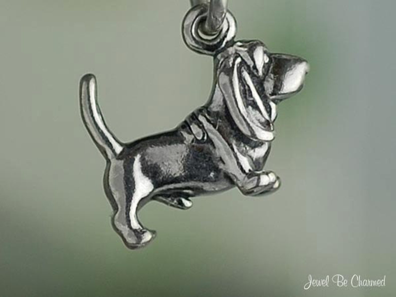 Hund - Charm – Charming Glamour
