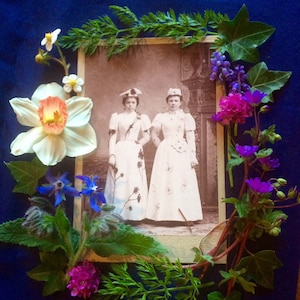 Cabinet Photo - Edwardian Women - Flower Bedecked - Butterflies - Missouri - Antique Photo