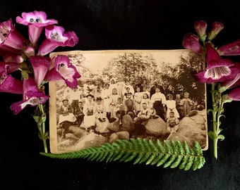 Cabinet Photo - Group Photo - Picnic - Antique Photo - 1800s