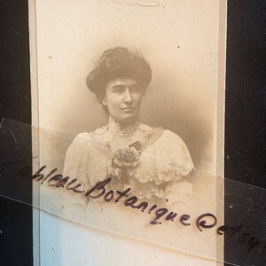 French Cdv Photo - Antique Photo - Edwardian Woman - Rose - Paris -France - Lace