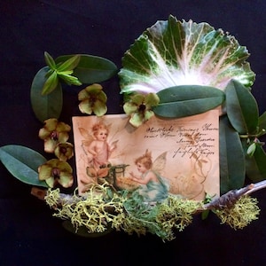 Vintage Victorian Postcard - Fairy - Wings - Buttercup Flowers - Illustration
