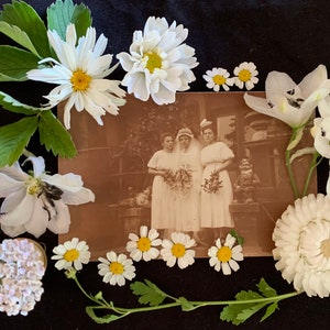 Vintage Postcard - Bride - Bridesmaids - Gnomes - Antique Photo