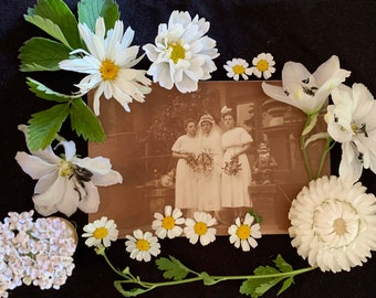 Vintage Postcard - Bride - Bridesmaids - Gnomes - Antique Photo