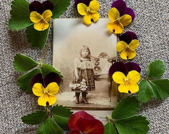 Sweet Girl - Sweet Flowers - CDV Photo - Antique Photo - Hermann Tietz