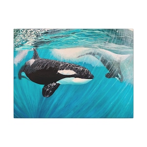 May include: An artistic depiction of two orcas swimming underwater. The foreground features a black and white orca with a white patch near its eye. The background shows the tail of another orca in a blue ocean.