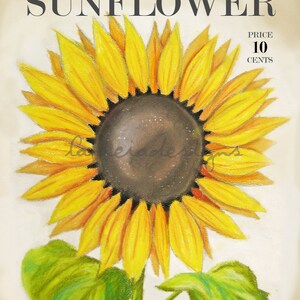 May include: Vintage seed packet illustration of a sunflower with yellow petals and a dark brown center. The text "SUNFLOWER" is at the top of the packet and "PRIMAVERA SEED CO." is at the bottom. The price is listed as "10 CENTS".