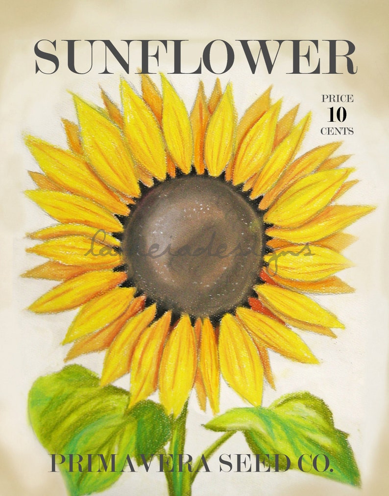 May include: Vintage seed packet illustration of a sunflower with yellow petals and a dark brown center. The text "SUNFLOWER" is at the top of the packet and "PRIMAVERA SEED CO." is at the bottom. The price is listed as "10 CENTS".