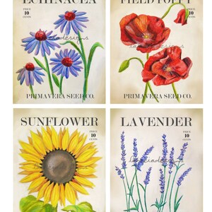 May include: Four vintage seed packet illustrations featuring Echinacea, Field Poppy, Sunflower, and Lavender. Each packet has a price of 10 cents and the text "PRIMAVERA SEED CO."