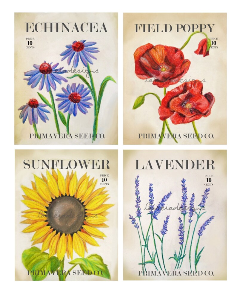 May include: Four vintage seed packet illustrations featuring Echinacea, Field Poppy, Sunflower, and Lavender. Each packet has a price of 10 cents and the text "PRIMAVERA SEED CO."