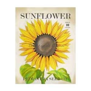May include: Vintage seed packet illustration featuring a yellow sunflower with green leaves. The text on the packet reads "SUNFLOWER" and "PRIMAVERA SEED CO." with a price of "10 CENTS".