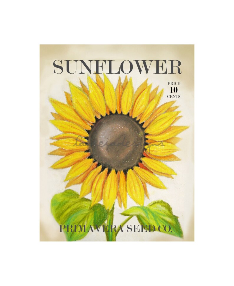 May include: Vintage seed packet illustration featuring a yellow sunflower with green leaves. The text on the packet reads "SUNFLOWER" and "PRIMAVERA SEED CO." with a price of "10 CENTS".