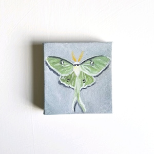 Luna Moth Art - Pintura de polilla Luna, polilla verde, pintura original, pintura al óleo, arte de insectos, arte de la polilla, arte de muestras, lienzo