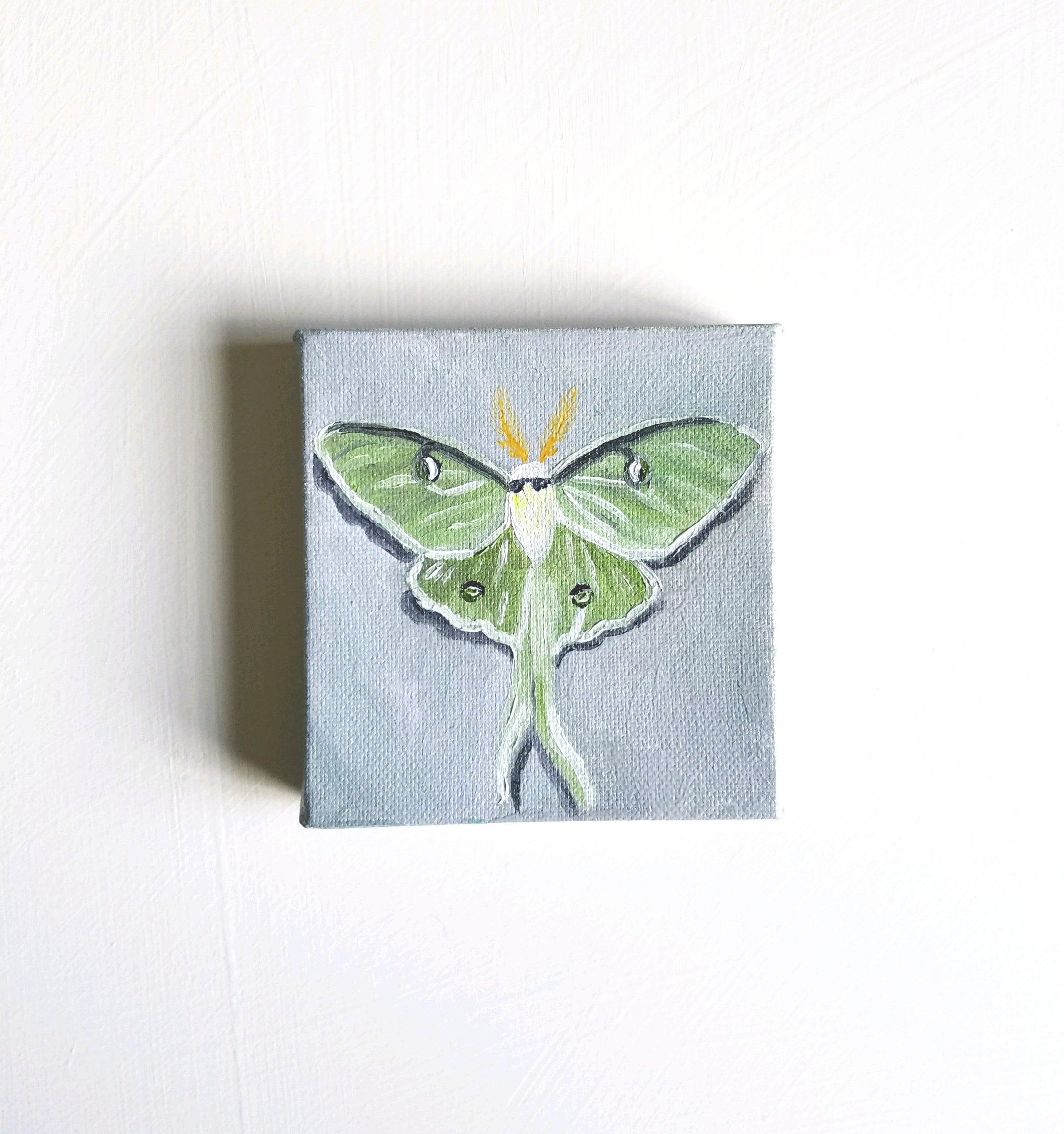 Luna Moth Art - Luna Moth Painting, Green Moth, Original Painting, Oil ...