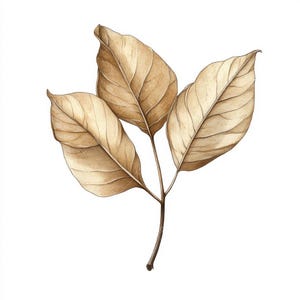 10 flores secas de otoño, herbario vintage, clipart imprimible, alta calidad, descarga digital, manualidades de papel, revistas basura