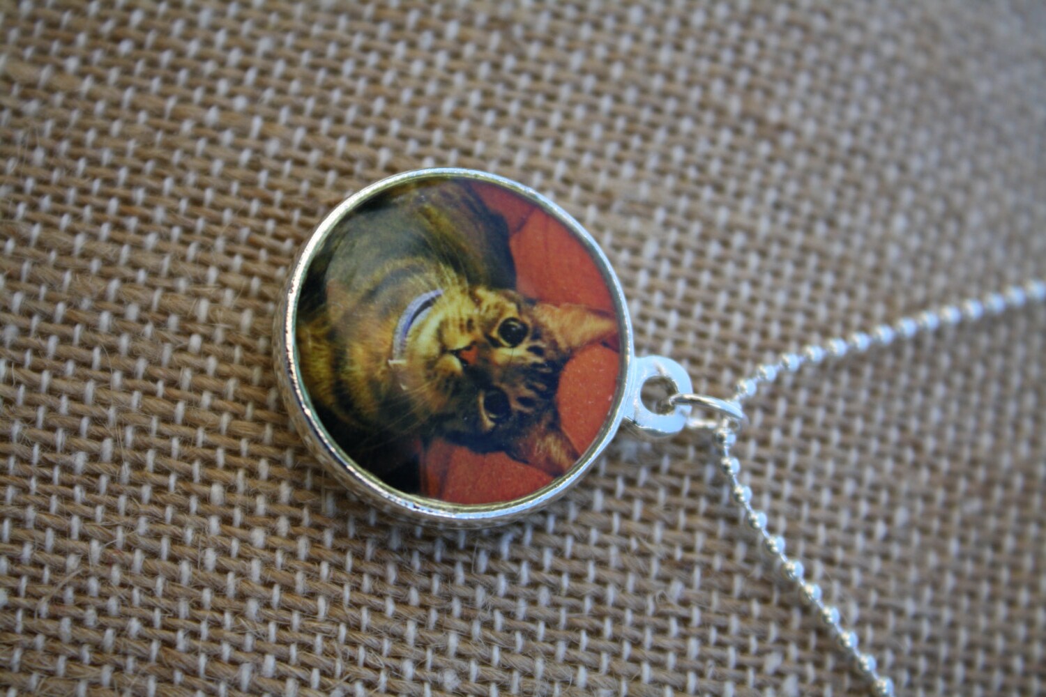 Personalized Pet Memorial Jewelry with your pets fur/hair Etsy