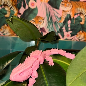 3D Dragon