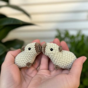 Capybara Crochet Pattern PDF, Beginner-Friendly Amigurumi Plushie, Low Sew Stuffed Animal Tutorial, Cute Baby Toy, Digital Crochet Pattern
