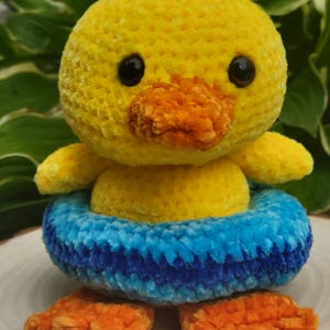 Patito en la piscina