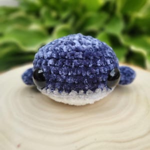 ¡Ballena ahí tienes!