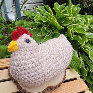 Chicken Chicken