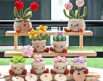 May include: A collection of handmade crochet plant pots with smiling faces, each holding a different type of flower or succulent. The plants are displayed on a wooden shelf, with small wooden tags that read "Have a nice day!", "I LOVE YOU", "You've got this", "Love you mom", and "Happy birthday to Lila!"