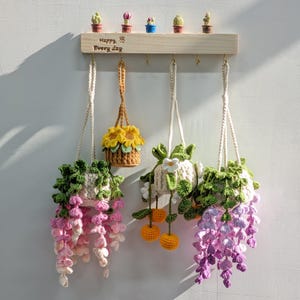 May include: A wooden wall-mounted shelf with small cactus figurines and hanging crochet planters. The planters feature various floral and cascading designs in shades of pink, purple, yellow, and green. The shelf has the text "Happy Every day".