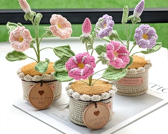 Handmade Crochet Morning Glory Flower Pot, Knitted Forever Bloom Plant, Purple Home Decor, Birth Month Flower Gift for Her, Mothers Day Gift