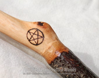 Wand XII 29 cm, 11 in Box Boxwood