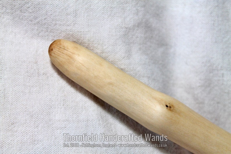 Laurustinus Wand V 26 cm, 10 in
