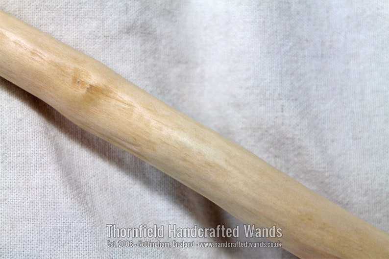 Laurustinus Wand V 26 cm, 10 in