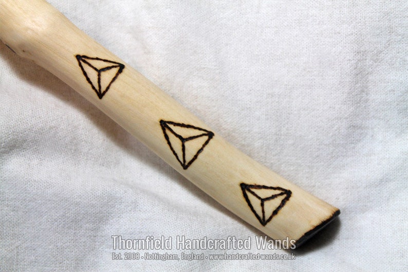 Laurustinus Wand V 26 cm, 10 in