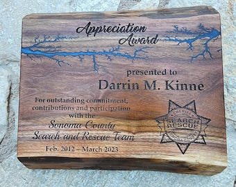 Custom Award, Custom Plaque, Award Gift, Lichtenberg Burned, Fractal Burned, Resin Filled, Personalized Award, Personalized Plaque