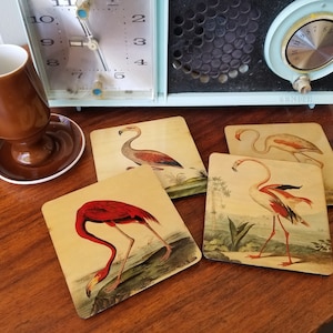 Set of 4 Vintage Antique "Style" Flamingo Coasters, Audubon Coasters, Cocktail Bar Coasters with cork backs  - custom made