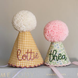Custom Dog Birthday Hat – Embroidered Pet Party Hat Large (6 in. tall)