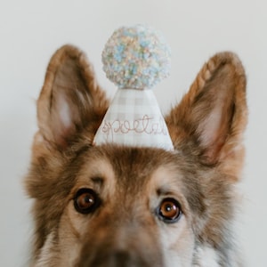 May include: A dog wearing a party hat with the word "poet" embroidered on it. The hat is light-colored with a pom-pom on top. The dog has brown and tan fur and brown eyes.