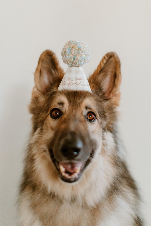Custom Dog Birthday Hat – Embroidered Pet Party Hat
