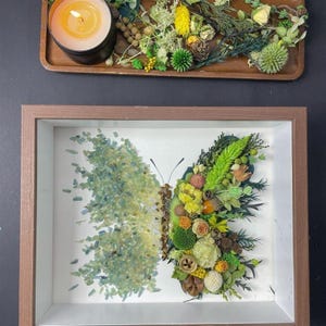 Kristall Schmetterling Harz Blumenrahmen - DIY 3D Specimen Kit | Kreatives Handwerk Geschenk | Anfängerfreundliches Kit