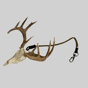 May include: A deer skull with attached antlers, featuring a black clasp and an olive green lanyard with a silver-colored clip. The skull is off-white, and the antlers are brown.