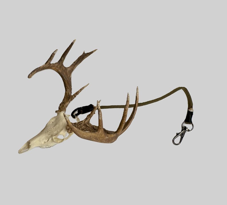 May include: A deer skull with attached antlers, featuring a black clasp and an olive green lanyard with a silver-colored clip. The skull is off-white, and the antlers are brown.