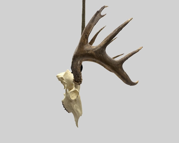 140" white-tailed deer rear view mirror hanger hand painted