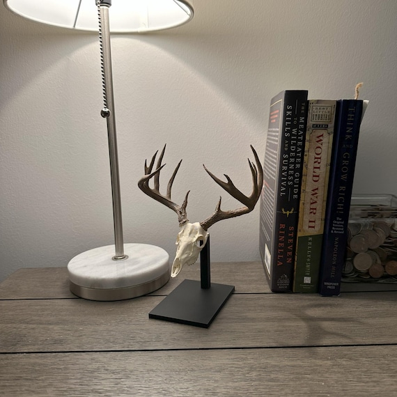White-Tailed deer display
