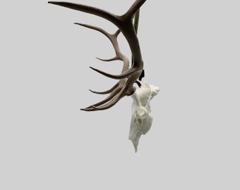 Elk rearview mirror hanger